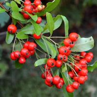 表面似乎是普通的，但实际上不是简单的星座