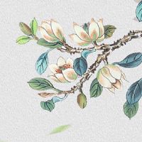 2022年农历七月初七日子好不好 宜搬家吗