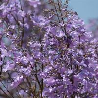 我宁愿唱歌的最偏好，我不想要四个星座。