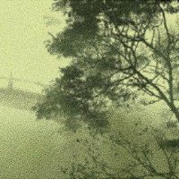 大多数人将控制男子女性八个角色特征明星有正义