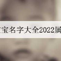 小宝宝名字大全2022属虎