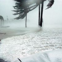 大风是什么意思？