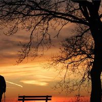 梦想着死者，有一个说法