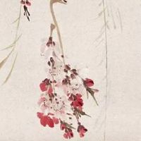 全部簸箕的女人命运 天生领导之姿