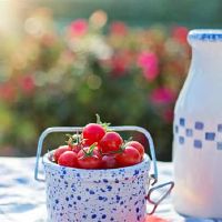 四大血液类型需要什么样的爱情