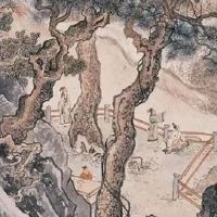 2022年6月属龙人本月整体运势好不好 能否在本月改运