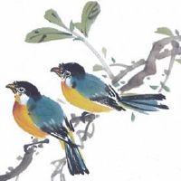 2022年夏至出生的虎宝宝 事业成就 贵人运旺