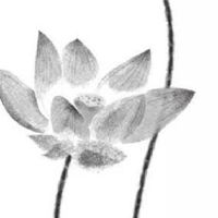 2022年7月22日出生属虎男宝宝命好不好 富有智慧 事业有成