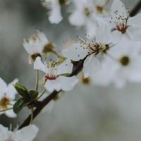 压缩能力差，没有压力的星座