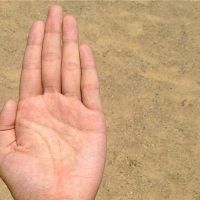 左手的标志是什么？