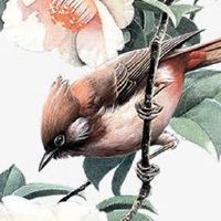 尾号三个0的手机号好吗 五行吉祥添福的手机尾数