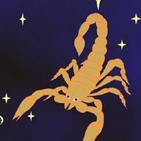 天蝎座2022总财富（天蝎座2022全部 - 年财富）