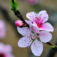 八字极旺的人怎样？