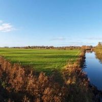 2022年下半年水瓶座的横财运如何 水瓶座财运的建议