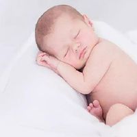  五行缺什么查询上海周易取名