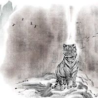 虎年遇到虎年是什么命运 且行且珍惜小心太岁当头