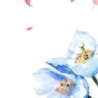 号令天下手机号码测吉凶查询 手机号5555风水学