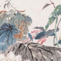 男人有没有财运看哪里 额头宽广丰隆财运亨通