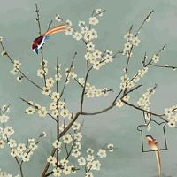 女性手掌纹路图解大全 星形纹遇贵纹从字纹解析