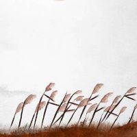 2022年7月5日是不是黄道吉日?当日时辰宜忌分析