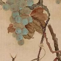 2022年属兔大忌颜色 白灰色彩要避让