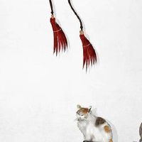 2022年8月18日订婚好不好 今日提亲大吉吗