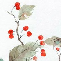 2022年8月13日出生的男宝宝是什么命 婚姻幸福 财运极佳