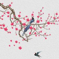 遇到正缘前会有一段低谷 正缘来临前有失败的感情