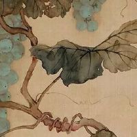 1975年属兔的财运 收支不平衡需调整