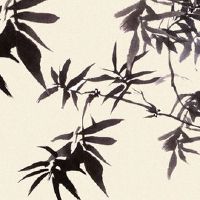 感情姻缘是命中注定了吗 婚缘旺衰由婚姻运势决定