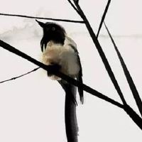 2022年8月7日乔迁入宅合适吗 农历七月初十是不是吉日