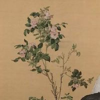 1975年的兔今年运气如何 稳中求胜好运来