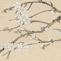 属蛇2022年犯太岁怎么化解 巧妙处理太岁化解