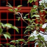 1989年属蛇人永远最旺的颜色 幸运数字盘点