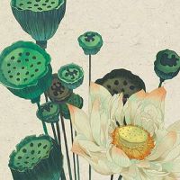 女人大富大贵的十种体相 臀腰丰满人最美