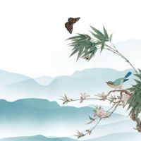 选手机号码有哪些忌讳 招财旺桃花的号组推荐