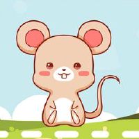 1996属鼠住什么楼层 合乎风水提升运气