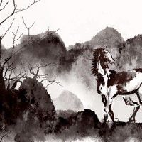 1978属马女2022年桃花运如何 运势旺盛脱单几率大