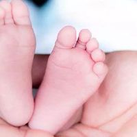  测字取名宝宝起名忌讳