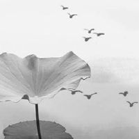 2022年8月4日七夕节适合乔迁搬家吗 这天是不是吉日