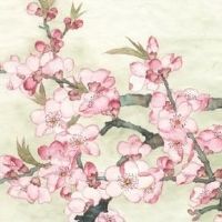 注册商标名字推荐2022 最新注册商标名