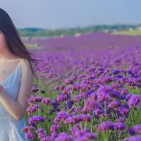 12个不适合爱的星座？