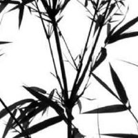 手机尾号6677好不好 最新吉祥旺运的靓号数组