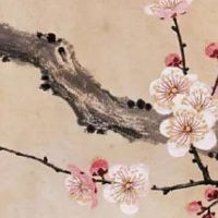 太阳夫妻宫很强大 太阳一般寓意为主贵不主富