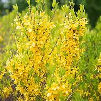 床底下忌讳放的三样东西 会破财影响婚姻感情