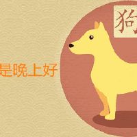 属狗大白天或是晚上好