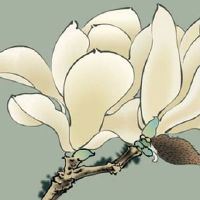 入宅择吉 2022年公历10月属马人最吉利入宅好日子