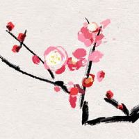 十猴九苦那个月最最苦 脚踏实地改变命运