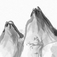 车牌号带69到底是好还是不好 五行择旺运数字