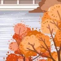 五行穿衣每日分享:2022年11月10日穿什么颜色提运